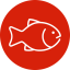 Aquariums